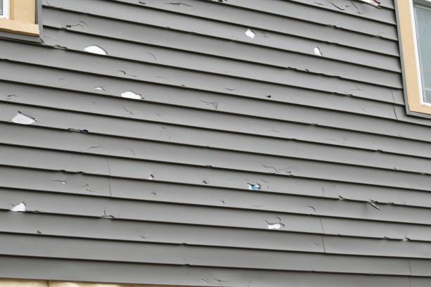 Same-Day Junk Removal Services in Mckees Rocks, PA